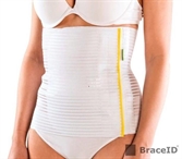 Cliquez sur l’image pour voir les détails du produit :Ceinture Abdominale, L