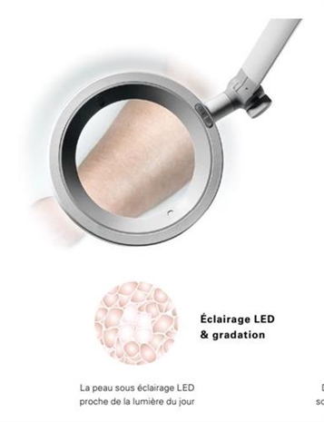 Cliquez pour agrandir