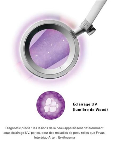 Cliquez pour agrandir