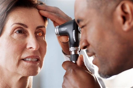 Cliquez pour agrandir