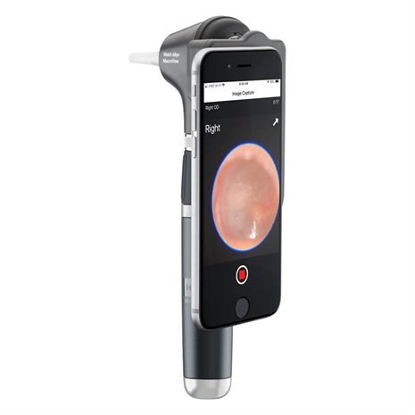 Cliquez pour agrandir