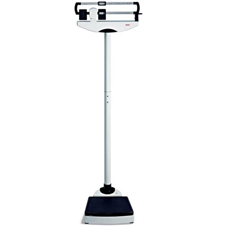 Cliquez pour agrandir