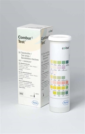 Cliquez pour agrandir