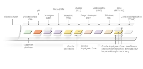 Cliquez pour agrandir
