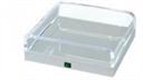 Cliquez pour agrandir