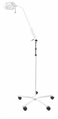 Cliquez pour agrandir