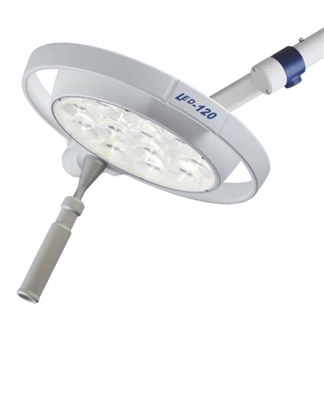 Cliquez pour agrandir