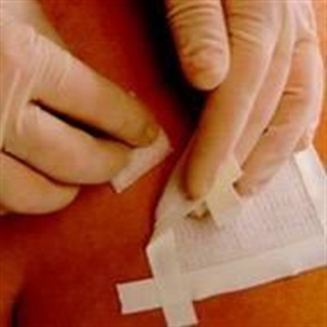 Cliquez pour agrandir