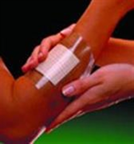 Cliquez pour agrandir