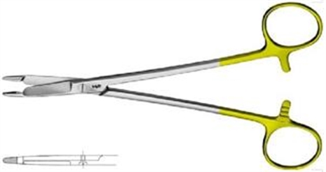 Cliquez pour agrandir