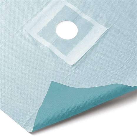 Cliquez pour agrandir