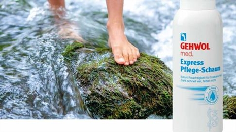 Cliquez pour agrandir