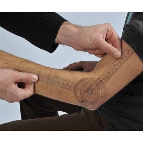 Cliquez pour agrandir