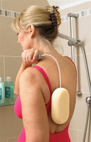 Cliquez pour agrandir