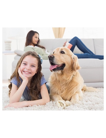 Cliquez pour agrandir