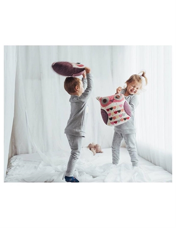 Cliquez pour agrandir