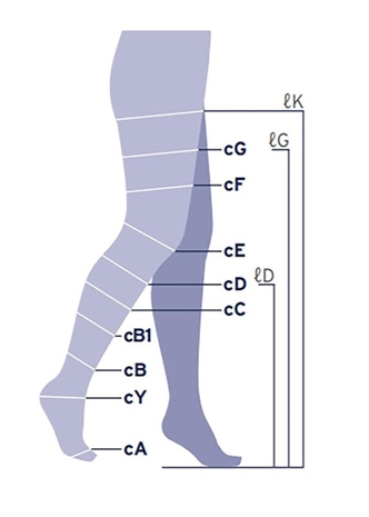 Cliquez pour agrandir