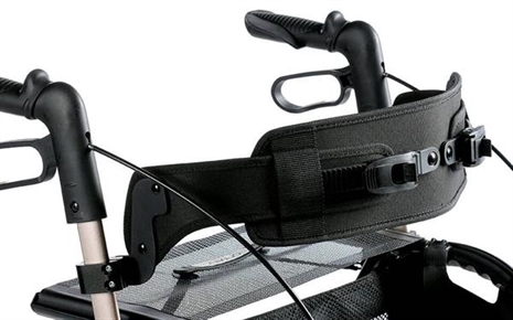 Cliquez pour agrandir