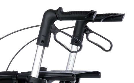 Cliquez pour agrandir