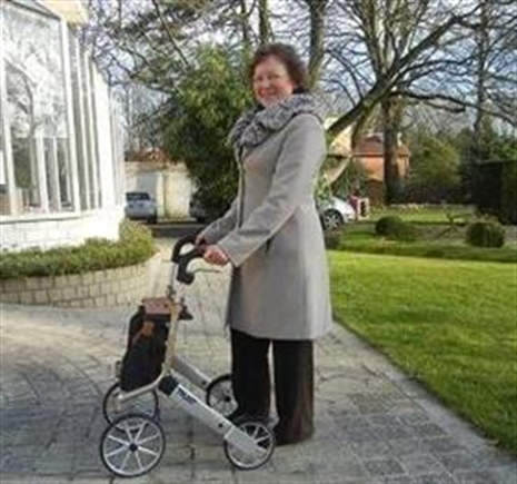 Cliquez pour agrandir