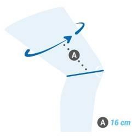 Cliquez pour agrandir