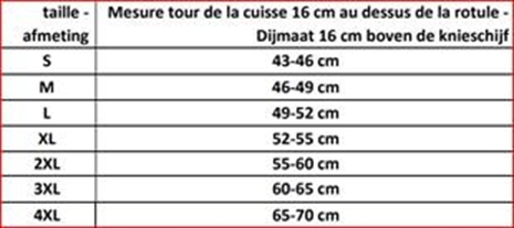 Cliquez pour agrandir