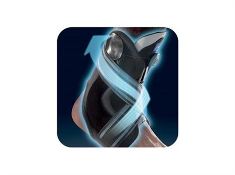 Cliquez pour agrandir