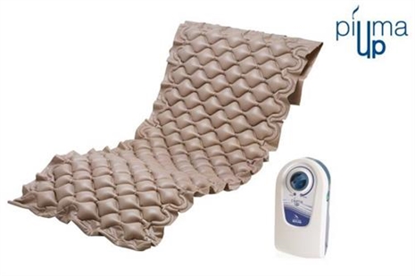 Cliquez pour agrandir