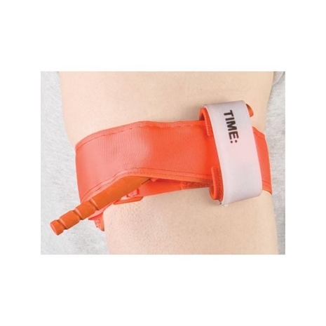 Cliquez pour agrandir