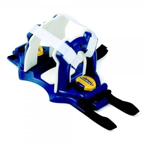 Cliquez pour agrandir