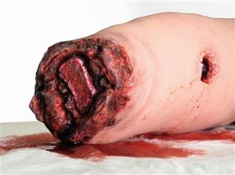 Cliquez pour agrandir