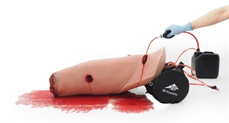 Cliquez pour agrandir