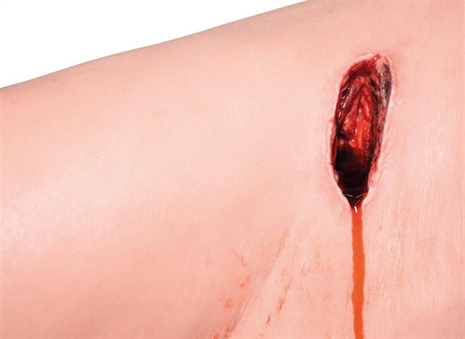 Cliquez pour agrandir